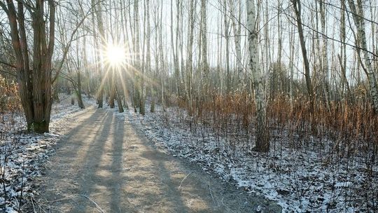Pogoda w niedzielę. "Przejaśnienia tylko w pierwszej części dnia i jedynie na wschodzie"