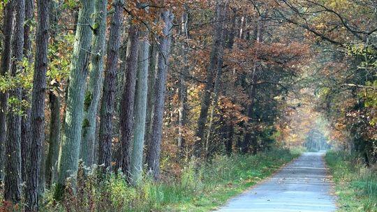 Pogoda w sobotę. Pochmurno, ale ciepło
