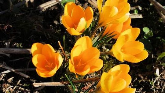 Pogoda: W święta będzie ciepło, ale nie upalnie