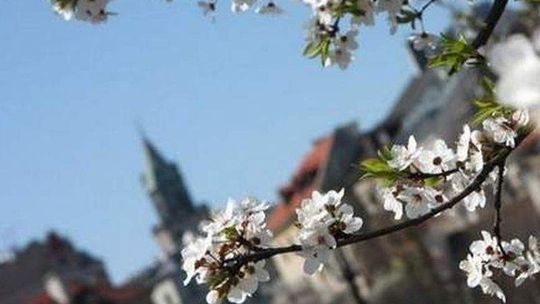 Pogoda: W weekend ciepło i burzowo