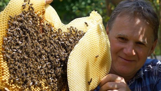 Pogromca szerszeni spod Chełma. „Zdziwiłem się, że szopa mi brzęczy"