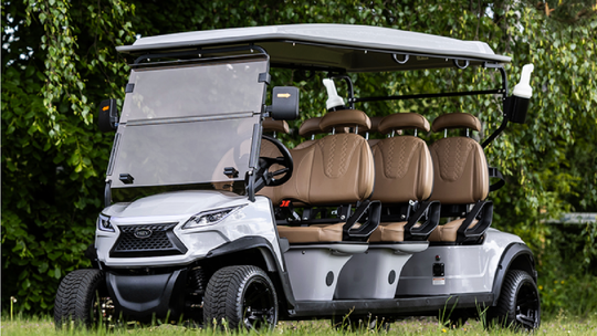 6-osobowy model wolnobieżnego pojazdu elektrycznego WEV