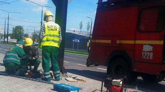 Pojedziemy autobusem elektrycznym w Lublinie. Bilet za darmo albo za złotówkę