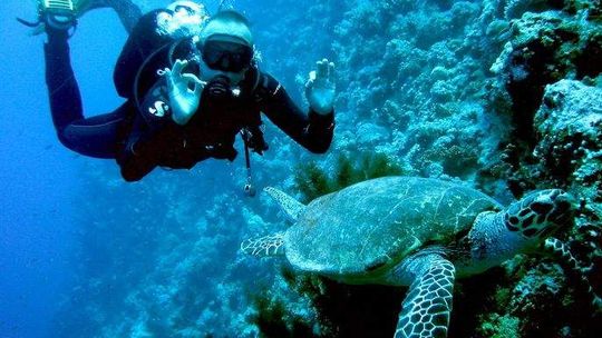 Pokaż jak spędzasz wakacje i znosisz letnie upały