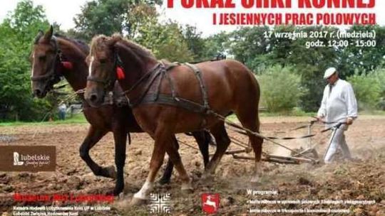 Pokaz orki konnej w Skansenie