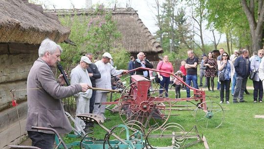 Pokaz wiosennych prac polowych w Muzeum Wsi Lubelskiej 