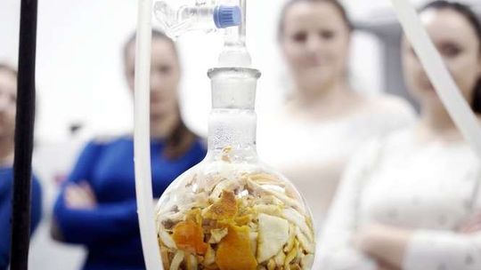 Pokazy, warsztaty i spotkania. Noc Biologów w Lublinie