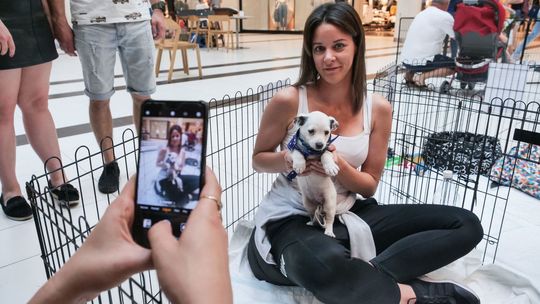 Pokochaj Zwierzaka. Namawiali do adopcji zwierząt w VIVO! Lublin