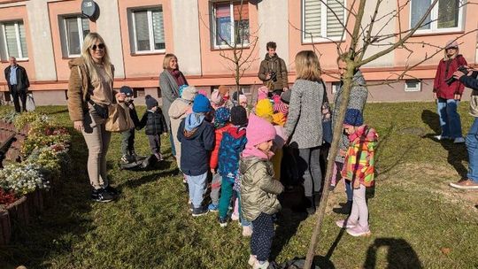 Pokoleniowe sadzenie drzew w Świdniku