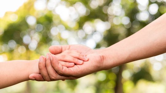 Pół kadencji Lewicy w rządzie