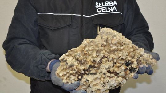 Pół tony koralowców – megaprzemyt w Dorohusku