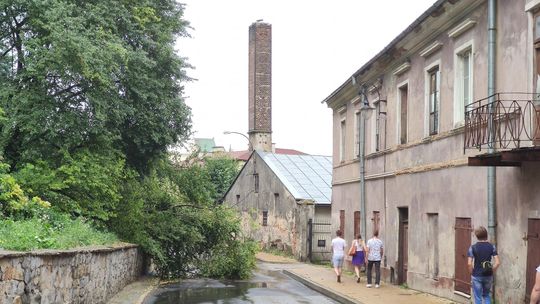Połamane drzewa, zalane piwnice. Nagła ulewa nad Lublinem
