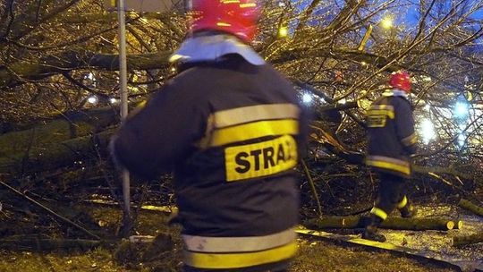 Połamane gałęzie drzew, uszkodzone dachy. Ostrzeżenie pogodowe dla woj. lubelskiego