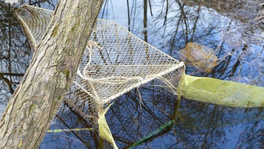 Policja ściga kłusowników. Trzech wpadło na gorącym uczynku 