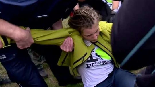 Policja siłą usunęła członków Greenpeace blokujących wycinkę Puszczy Białowieskiej
