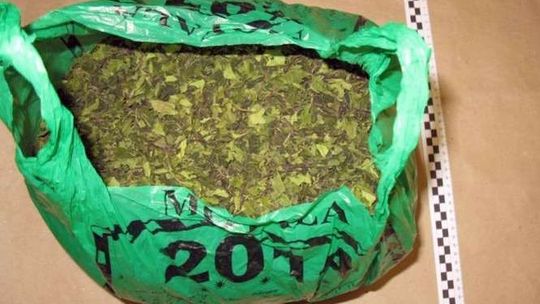 Policjanci przejęli 6 kilogramów afrykańskiego narkotyku