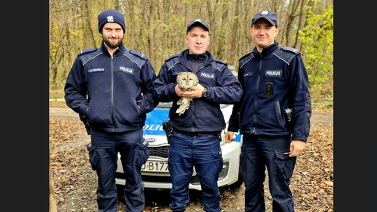 Policjanci ratują nie tylko ludzkie życie