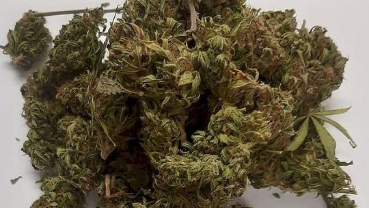 Policjanci weszli do mieszkania w Puławach. Znaleźli nietypową szafę