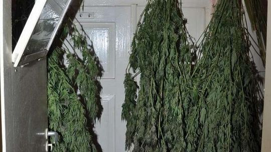 Policjanci weszli do pustego mieszkania. Narkotyki były ukryte w piecu kaflowym