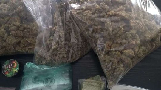 Policjanci weszli na posesję 25-latka z Lublina. Oto co znaleźli [wideo]