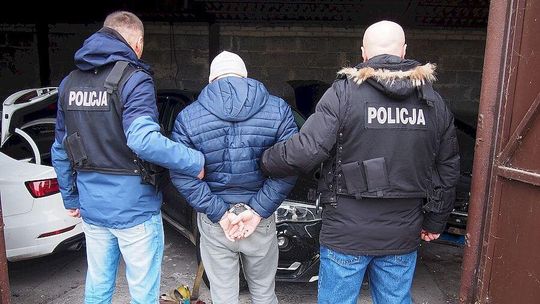 Policjanci z Lublina odkryli "dziuplę" pod Warszawą. W niej kradzione auta