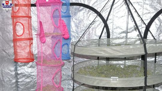 Policjanci zajrzeli do pomieszczeń gospodarczych. Ciekawe odkrycie [wideo]