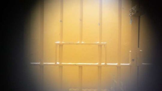 Policjant na drzewie? Taka służba