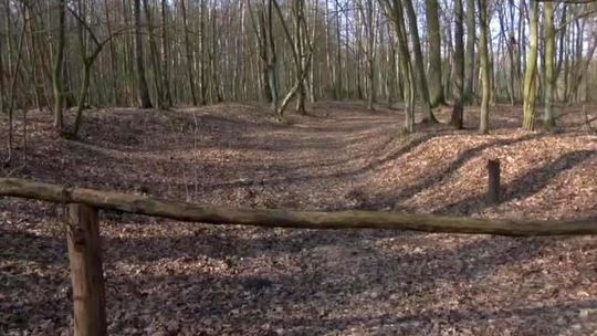 Policjant zastrzelił wspólnika w lesie. Koniec śledztwa