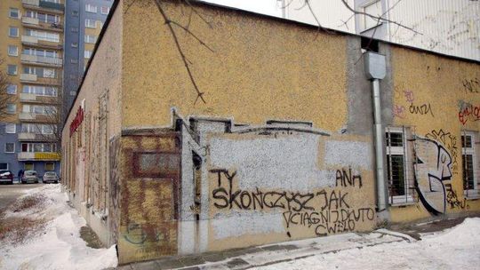 Policjant zatrzymywał podejrzanych o rozwieszanie antysemickich plakatów. Kto mu grozi?