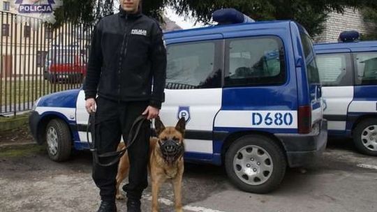 Policyjny pies Ibar szybko wytropił włamywacza