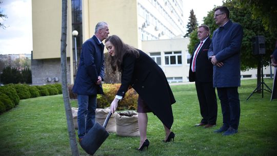 Politechnika Lubelska ma swoje drzewo. Imię wybierze internet