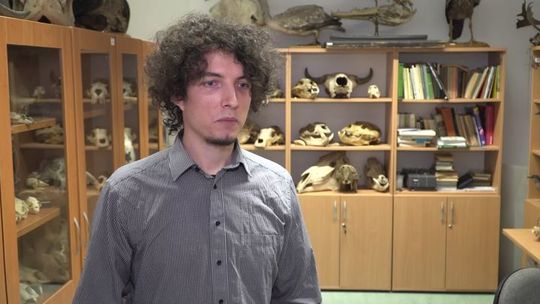 Polska kiepskim miejscem na badanie ery dinozaurów? Nic takiego