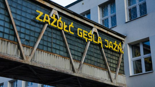 Polski język - trudna język. Dzień języka ojczystego