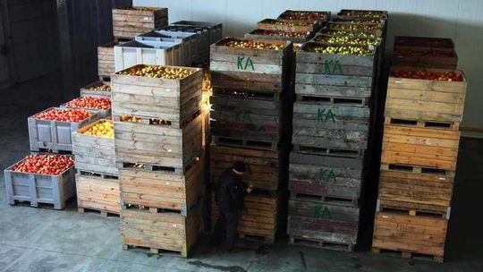 Polskie jabłko nie dla Obamy?