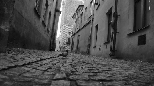 Półświatek z zaświatów. Gdzie w Lublinie były domy publiczne?