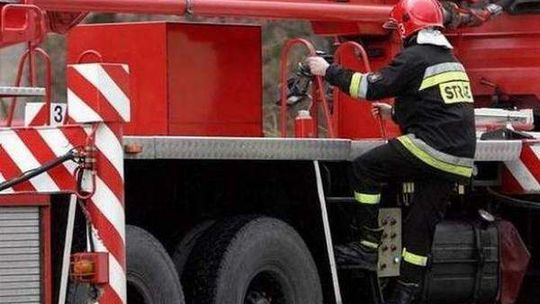 Polubicze Dworskie: Tysiąc prosiąt zginęło w pożarze chlewni