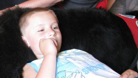 Pomóż Dawidowi, przekaż 1 proc. podatku