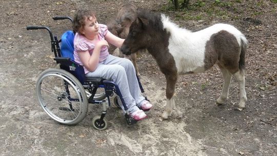 Pomóżmy Gabrysi pokonać raka 