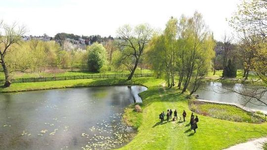 Pomysł na weekend. Na spacer do botanika