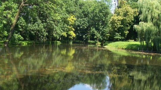 Pomysł na wycieczkę: Park krajobrazowy w Rejowcu