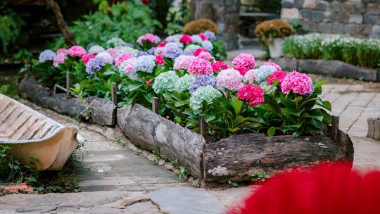 Pomysły dla domatorów i ogrodników - proste rozwiązania do codziennego użytku