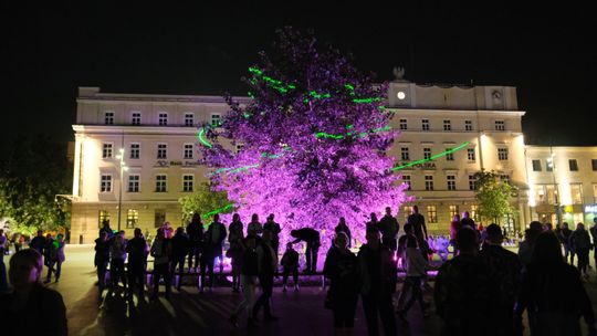 Pomysły kulturalne w Lublinie za 300 tys. zł
