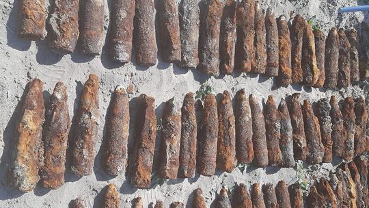 Ponad 100 pocisków artyleryjskich skrywała ziemia w Leokadiowie 