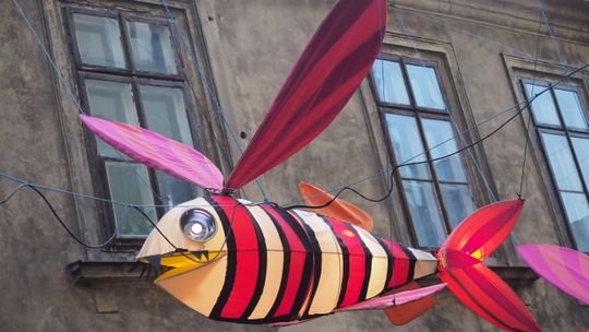 Ponad 130 stypendystów za osiągnięcia artystyczne wytypował Lublin