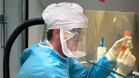 Ponad 17 tys. osób na świecie zakażonych koronawirusem. Premier zapewnia, że Polacy są bezpieczni