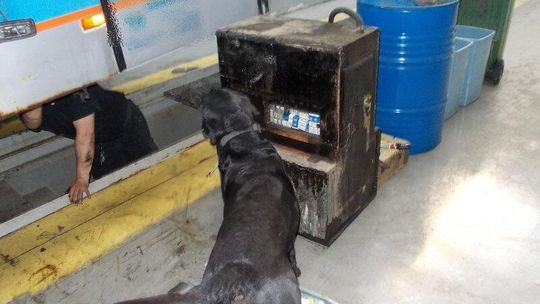 Ponad 2 tys. paczek papierosów ukrytych w baku autobusu