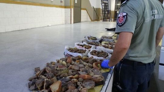 Ponad 20 kilogramów bursztynu na granicy