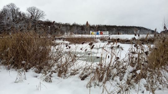 Poniatowa wyremontuje dwie ulice. Miasto dostało rządowe dofinansowanie