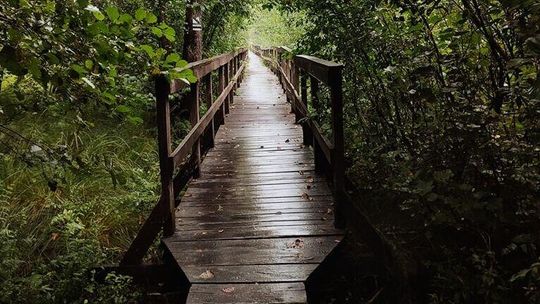 Popularna trasa zostanie zamknięta. Później ma być lepiej