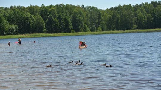 Popularne kąpielisko na Roztoczu zamknięte. W wodzie są groźne bakterie